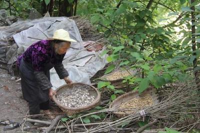 六盤水八旬老嫗住在山洞中長達半個世紀