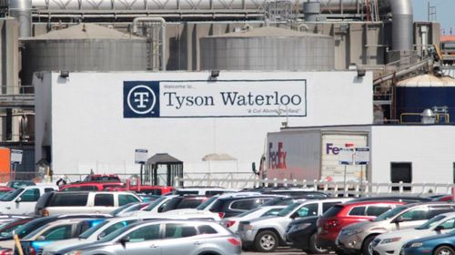 聚眾扎堆,美國多地疫情反彈 新西蘭麥當(dāng)勞凌晨5點(diǎn)排長隊(duì) 專家急了 莫要放松