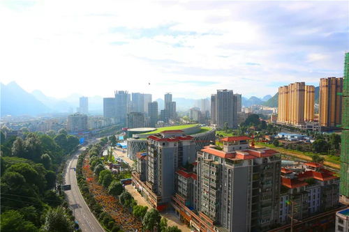 關(guān)于打印六馬物資領取單這件 小 事兒