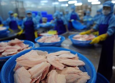 我國農產品出口穩步增長